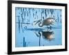 Wild Egret Fishing Horicon Marsh Wisconsin-Steve Gadomski-Framed Photographic Print