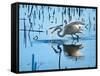 Wild Egret Fishing Horicon Marsh Wisconsin-Steve Gadomski-Framed Stretched Canvas