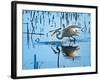 Wild Egret Fishing Horicon Marsh Wisconsin-Steve Gadomski-Framed Photographic Print