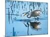 Wild Egret Fishing Horicon Marsh Wisconsin-Steve Gadomski-Mounted Photographic Print