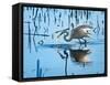 Wild Egret Fishing Horicon Marsh Wisconsin-Steve Gadomski-Framed Stretched Canvas