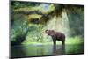 Wild Elephant in the Beautiful Forest at Kanchanaburi Province in Thailand, (With Clipping Path)-bundit jonwises-Mounted Photographic Print