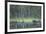 Wild Eurasian Wolverine (Gulo Gulo) Walking Along Waters Edge, Kuhmo, Finland, July 2008-Widstrand-Framed Photographic Print