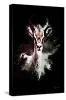 Wild Explosion Collection - The Antelope-Philippe Hugonnard-Stretched Canvas