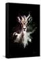 Wild Explosion Collection - The Antelope-Philippe Hugonnard-Framed Stretched Canvas