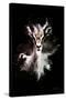 Wild Explosion Collection - The Antelope-Philippe Hugonnard-Stretched Canvas