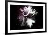 Wild Explosion Collection - The Cape Buffalo-Philippe Hugonnard-Framed Art Print