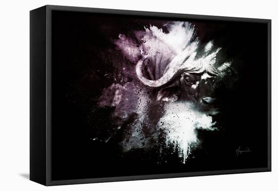 Wild Explosion Collection - The Cape Buffalo-Philippe Hugonnard-Framed Stretched Canvas