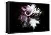 Wild Explosion Collection - The Cape Buffalo-Philippe Hugonnard-Framed Stretched Canvas