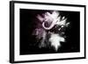 Wild Explosion Collection - The Cape Buffalo-Philippe Hugonnard-Framed Art Print