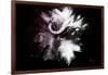 Wild Explosion Collection - The Cape Buffalo-Philippe Hugonnard-Framed Art Print