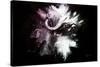 Wild Explosion Collection - The Cape Buffalo-Philippe Hugonnard-Stretched Canvas