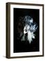 Wild Explosion Collection - The Elephant II-Philippe Hugonnard-Framed Art Print