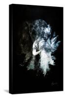 Wild Explosion Collection - The Elephant II-Philippe Hugonnard-Stretched Canvas