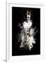 Wild Explosion Collection - The Giraffe-Philippe Hugonnard-Framed Art Print