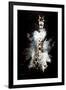 Wild Explosion Collection - The Giraffe-Philippe Hugonnard-Framed Art Print