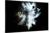 Wild Explosion Collection - The Hyena-Philippe Hugonnard-Stretched Canvas