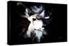 Wild Explosion Collection - The Impala II-Philippe Hugonnard-Stretched Canvas