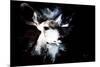 Wild Explosion Collection - The Impala II-Philippe Hugonnard-Mounted Art Print