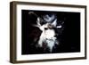 Wild Explosion Collection - The Impala II-Philippe Hugonnard-Framed Art Print