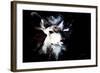 Wild Explosion Collection - The Impala II-Philippe Hugonnard-Framed Art Print