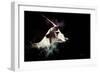 Wild Explosion Collection - The Impala-Philippe Hugonnard-Framed Art Print