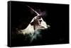 Wild Explosion Collection - The Impala-Philippe Hugonnard-Framed Stretched Canvas