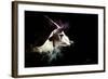 Wild Explosion Collection - The Impala-Philippe Hugonnard-Framed Art Print