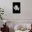 Wild Explosion Collection - The Lion-Philippe Hugonnard-Mounted Art Print displayed on a wall