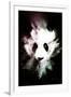 Wild Explosion Collection - The Panda-Philippe Hugonnard-Framed Art Print