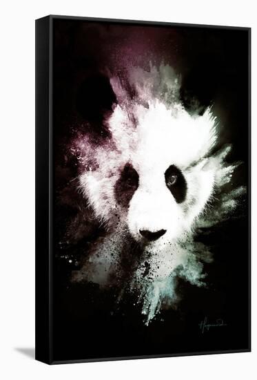 Wild Explosion Collection - The Panda-Philippe Hugonnard-Framed Stretched Canvas