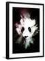 Wild Explosion Collection - The Panda-Philippe Hugonnard-Framed Art Print