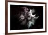 Wild Explosion Collection - The Rhino-Philippe Hugonnard-Framed Art Print