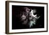 Wild Explosion Collection - The Rhino-Philippe Hugonnard-Framed Premium Giclee Print