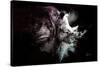 Wild Explosion Collection - The Rhino-Philippe Hugonnard-Stretched Canvas