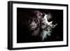 Wild Explosion Collection - The Rhino-Philippe Hugonnard-Framed Art Print