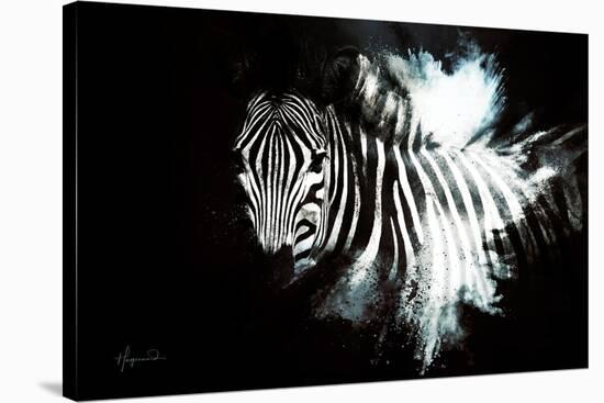 Wild Explosion Collection - The Zebra II-Philippe Hugonnard-Stretched Canvas