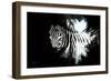 Wild Explosion Collection - The Zebra II-Philippe Hugonnard-Framed Premium Giclee Print