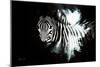 Wild Explosion Collection - The Zebra II-Philippe Hugonnard-Mounted Premium Giclee Print