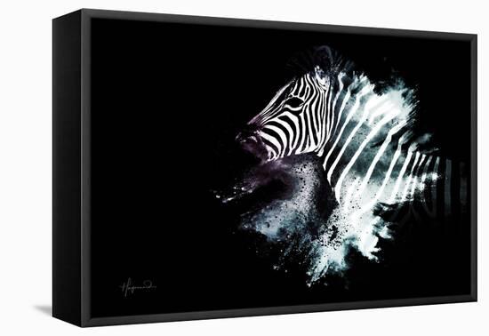 Wild Explosion Collection - The Zebra-Philippe Hugonnard-Framed Stretched Canvas