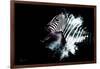 Wild Explosion Collection - The Zebra-Philippe Hugonnard-Framed Art Print