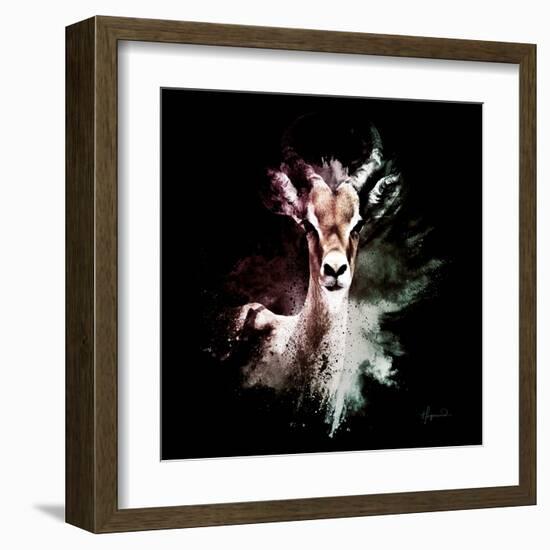 Wild Explosion Square Collection - The Antelope-Philippe Hugonnard-Framed Art Print