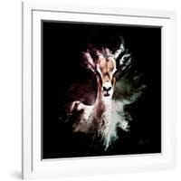 Wild Explosion Square Collection - The Antelope-Philippe Hugonnard-Framed Art Print