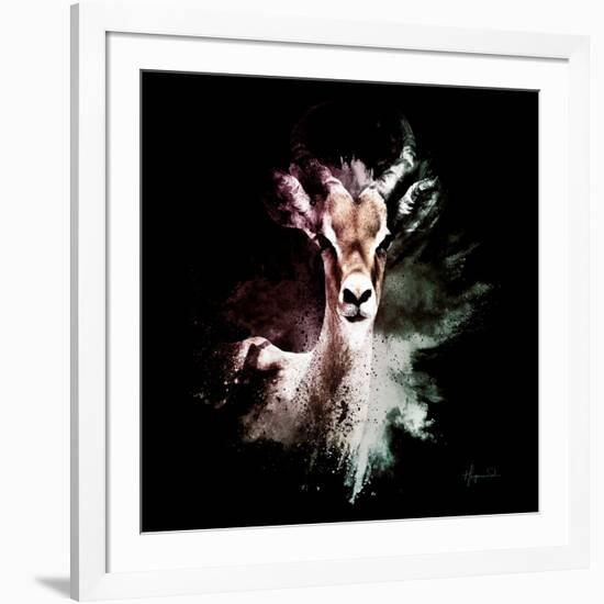 Wild Explosion Square Collection - The Antelope-Philippe Hugonnard-Framed Art Print