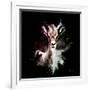 Wild Explosion Square Collection - The Antelope-Philippe Hugonnard-Framed Art Print