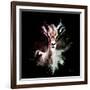 Wild Explosion Square Collection - The Antelope-Philippe Hugonnard-Framed Art Print