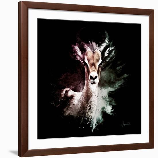 Wild Explosion Square Collection - The Antelope-Philippe Hugonnard-Framed Art Print