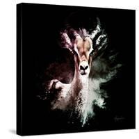 Wild Explosion Square Collection - The Antelope-Philippe Hugonnard-Stretched Canvas