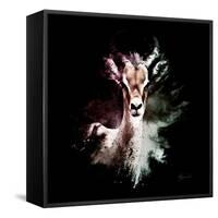 Wild Explosion Square Collection - The Antelope-Philippe Hugonnard-Framed Stretched Canvas