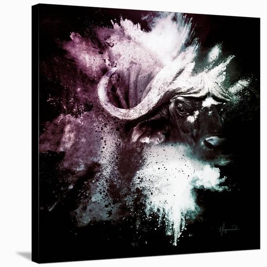 Wild Explosion Square Collection - The Cape Buffalo-Philippe Hugonnard-Stretched Canvas